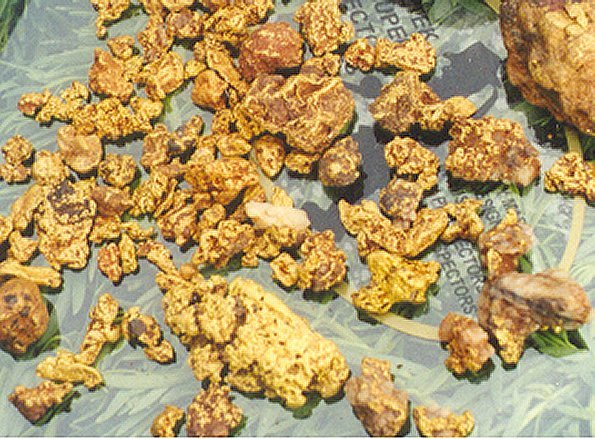Saleable  Gold Nuggets  - Click to Return