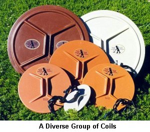 A Diverse Group of Coils - Click to enlarge