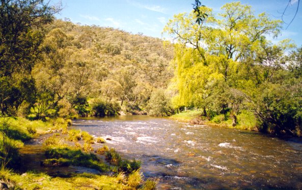 Goodradigbee River - Brindaballa - Click to Return
