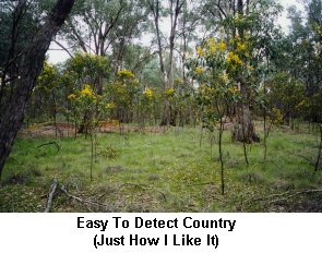 Easy Detecting Country - Click to enlarge