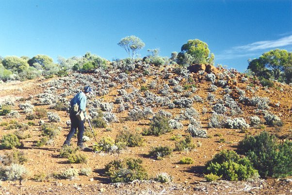 Cheryl Foster - Detecting at East Murchison  - Click to Return