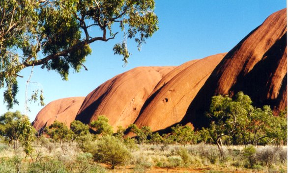 Ayers Rock - Central Australia - Click to Return