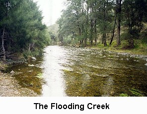 The Flooding Creek - Click to enlarge
